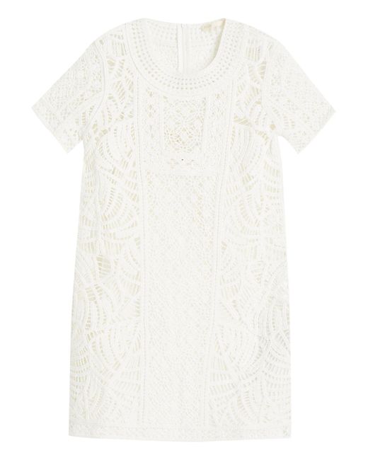 Maje White Mini Dresses