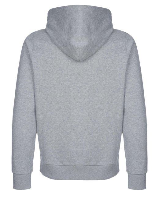 DIESEL Sweatshirt in Gray für Herren