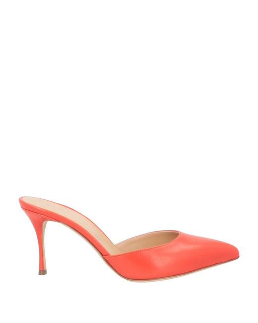 Sergio Rossi Pink Mules & Clogs