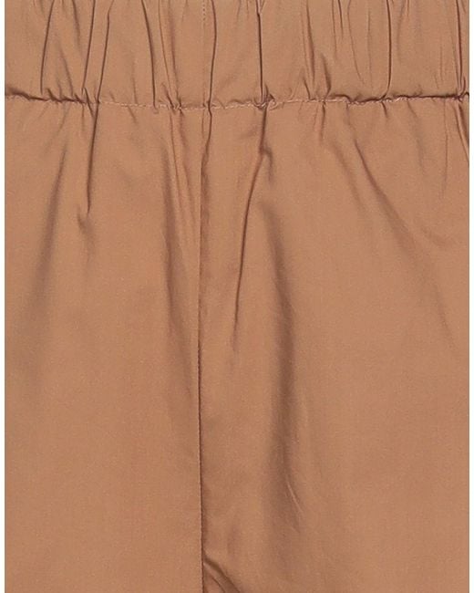 Roberto Collina Brown Trouser