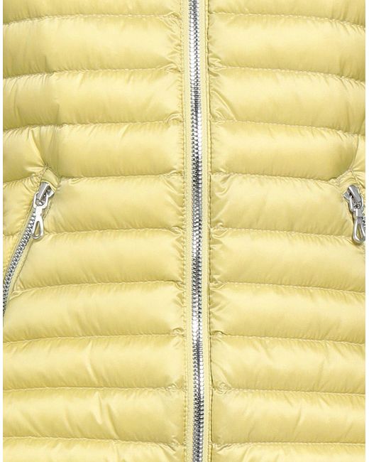 Colmar Yellow Puffer