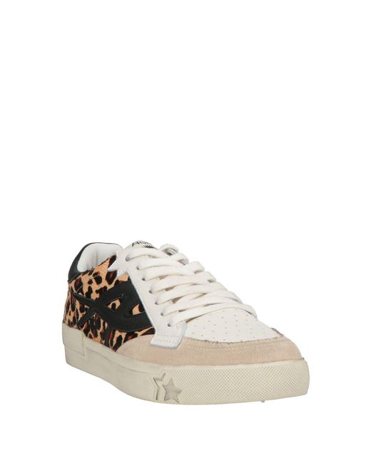 Ash White Trainers