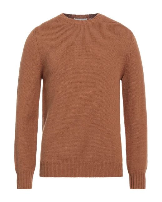 Alpha Studio Brown Jumper for men