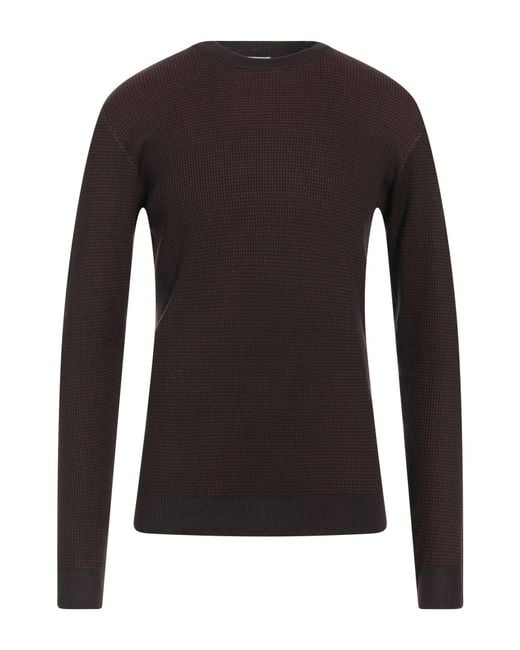 Sseinse Brown Sweater for men