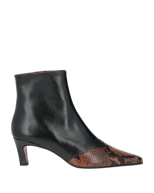 Roberto Festa Black Ankle Boots Leather