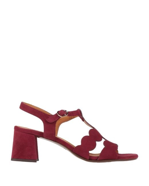 Chie Mihara Red Sandals Leather