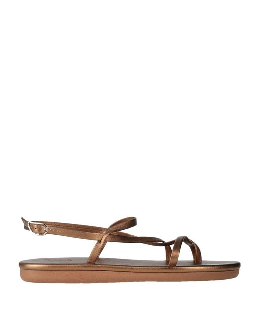 Ancient Greek Sandals Brown Thong Sandals