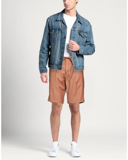 Montecore Brown Shorts & Bermuda Shorts for men