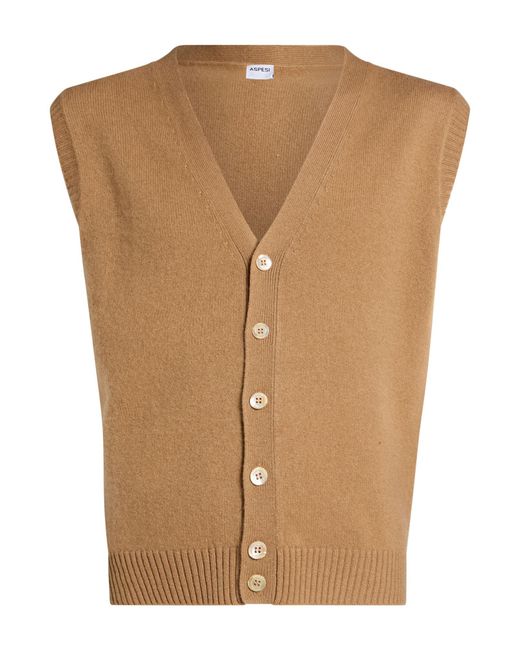 Rebecas Aspesi de hombre de color Brown