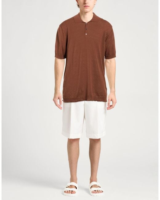 Polo Alpha Studio de hombre de color Brown