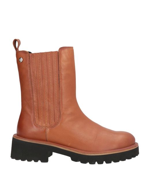Bottines CafeNoir en coloris Brown
