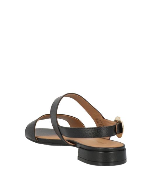 Emporio Armani Black Sandals