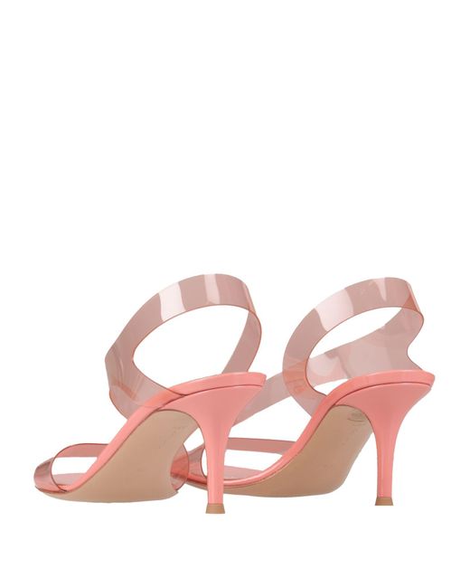 Sandales Gianvito Rossi en coloris Pink