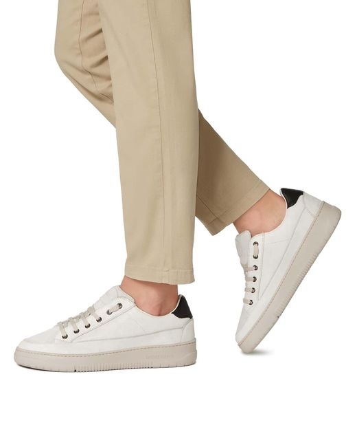 Candice Cooper Sneakers in White für Herren