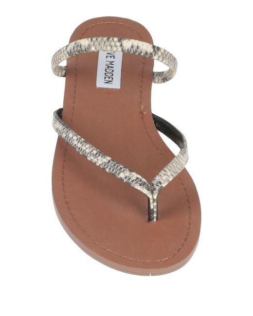 Steve Madden Thong Sandal in White Lyst UK