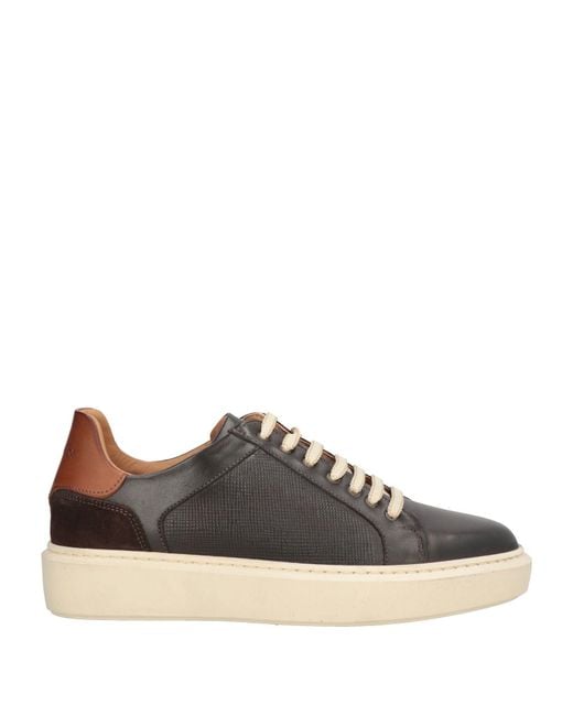 Baldinini Brown Dark Sneakers Calfskin for men