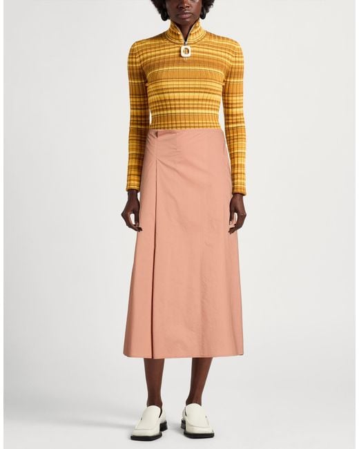 Sofie D'Hoore Pink Midi Skirts