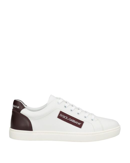 dolce and gabbana white sneakers