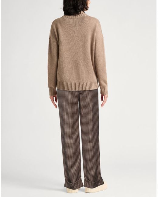 Lardini Brown Hose