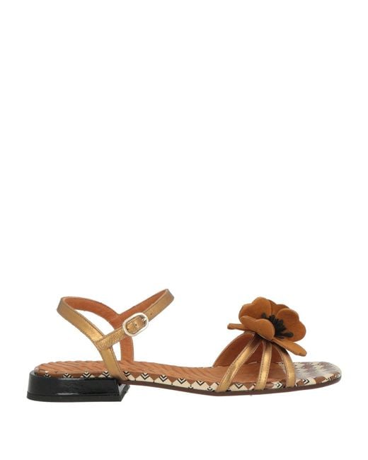 Chie Mihara Brown Sandale