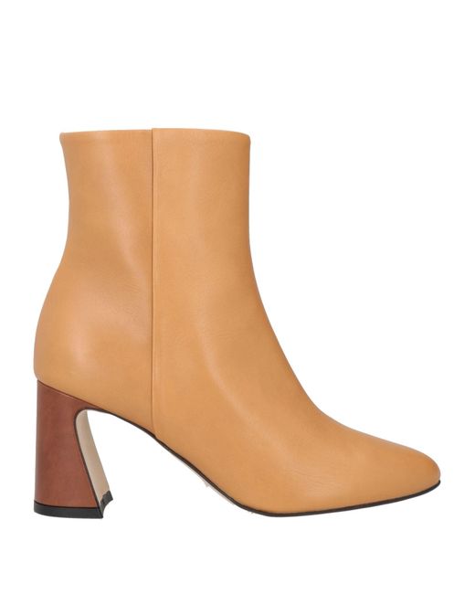 Momoní Brown Ankle Boots