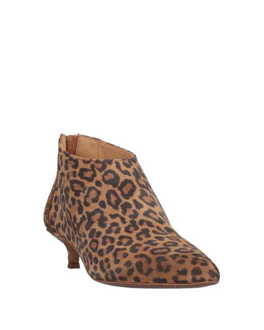 GIO+ Brown Ankle Boots