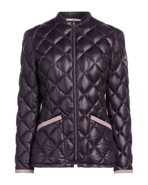 Husky Purple Puffer