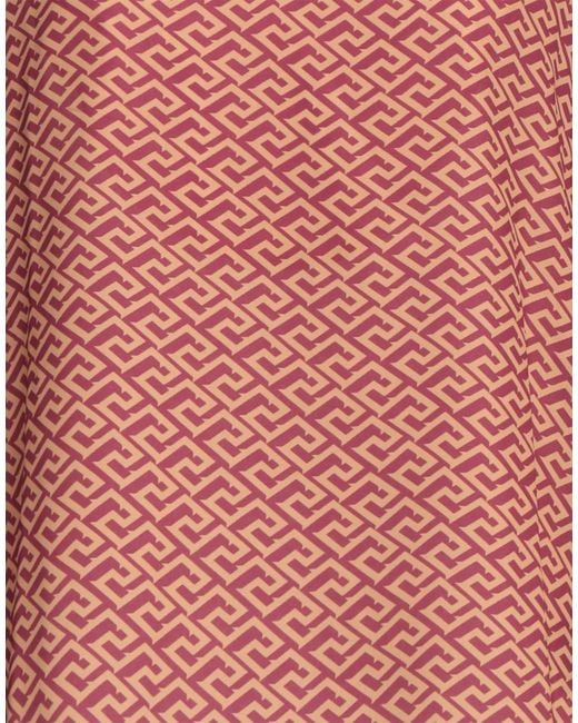 Hanita Pink Top