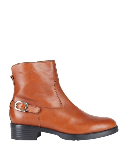 Wonders Brown Ankle Boots