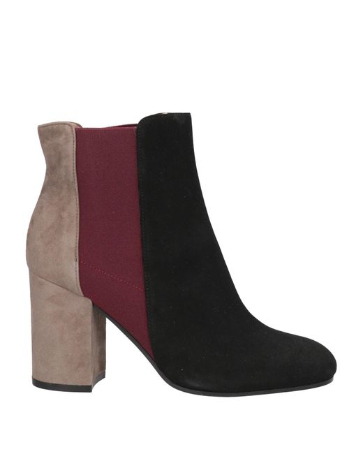 Stivaletti di Pollini in Brown