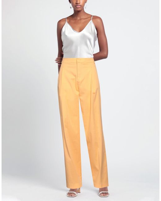 hinnominate Orange Trouser