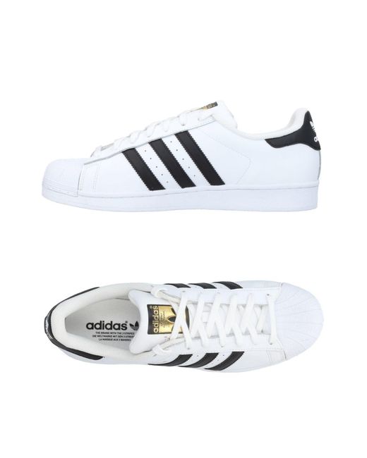 shoes, adidas, sneakers, low top sneakers, white - Wheretoget