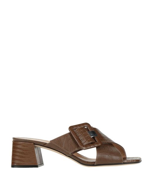 Sergio Rossi Brown Sandals