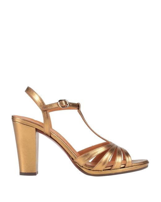 Chie Mihara Natural Sandals