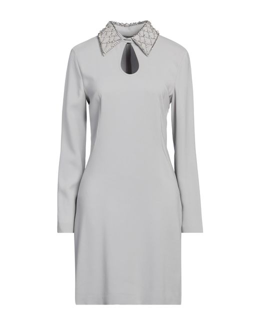 Alberta Ferretti Gray Mini Dress