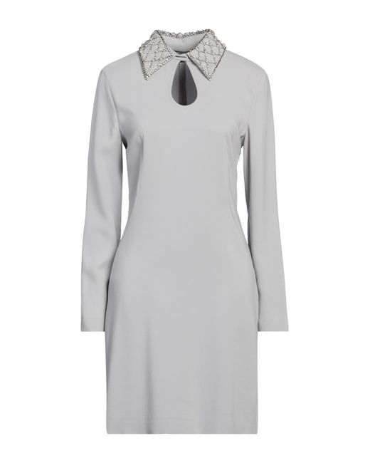 Alberta Ferretti Gray Mini Dress