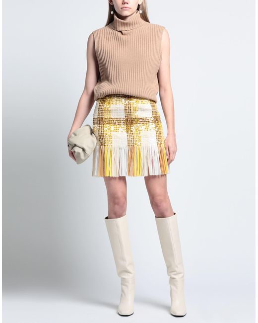 Elisabetta Franchi Metallic Mini Skirt