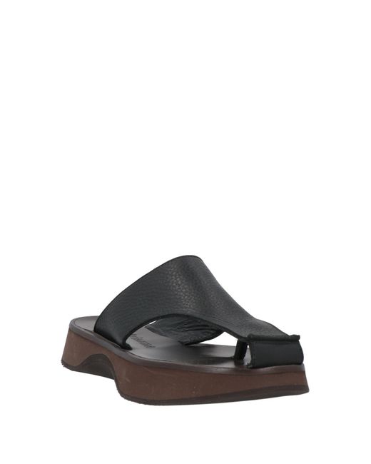 About Arianne Black Thong Sandal