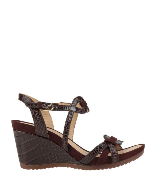 Geox Brown Sandals