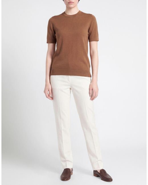Circolo 1901 Brown Jumper