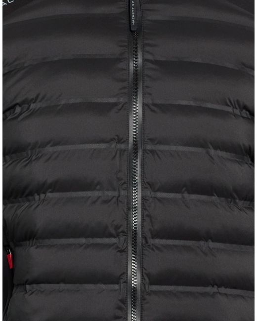 Hackett Black Puffer for men