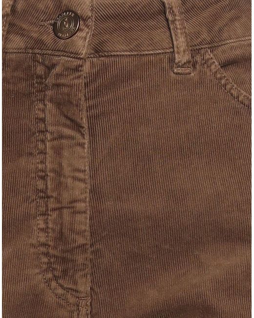 Seafarer Brown Trouser