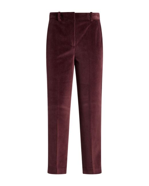 Circolo 1901 Red Burgundy Pants Cotton, Polyester