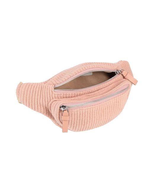 Fabiana Filippi Pink Belt Bag