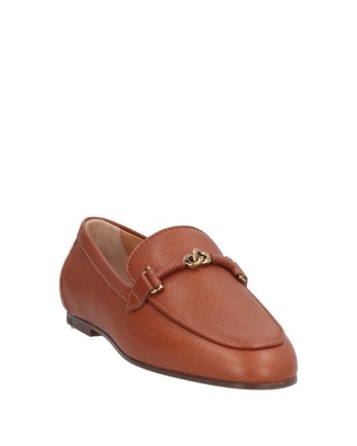 Tod's Brown Loafers
