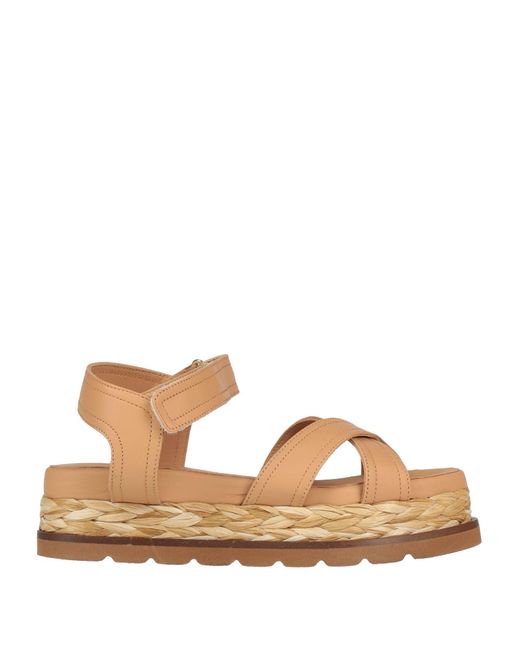 Elvio Zanon Brown Sandals