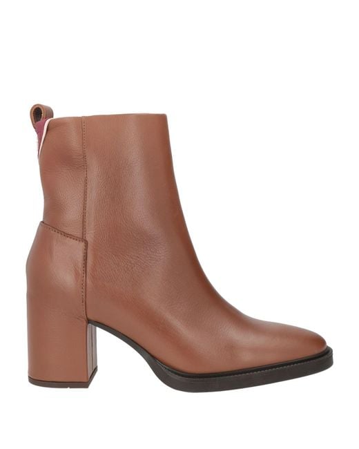 Tommy Hilfiger Brown Ankle Boots
