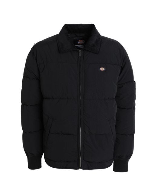Dickies Black Puffer for men