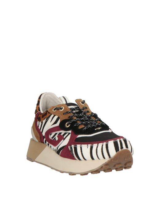 Alberto Guardiani Brown Trainers