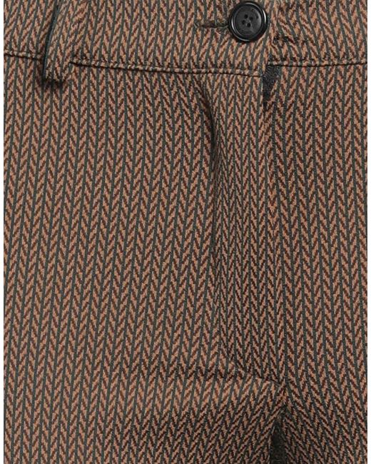 White Wise Brown Pants